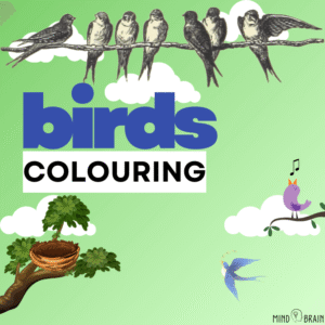 Birds Colouring