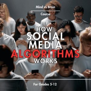 How Social Media Algorithms Work